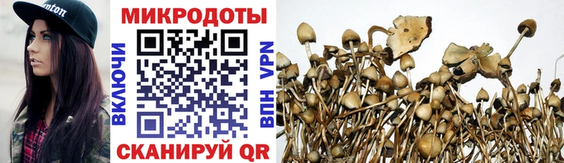 Псилоцибиновые грибы мухоморы  Салехард 